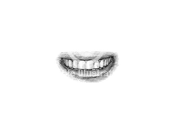 teeth illustrations